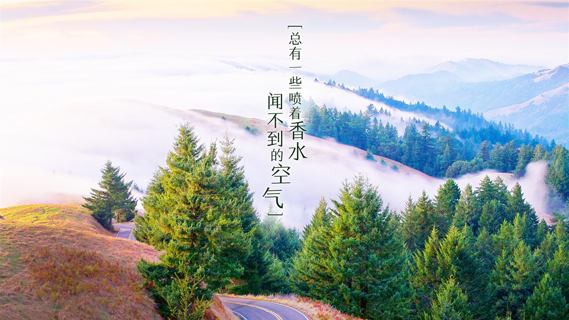 棉纺是什么面料优缺点的衣服（棉纺是什么面料,透气吗）